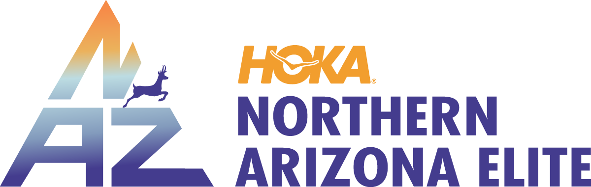 Hoka NAZE Logo